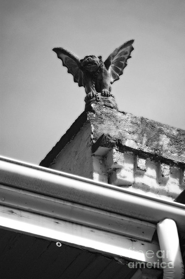 New Orleans Digital Art - Rooftop Gargoyle Statue above French Quarter New Orleans Black and White Diffuse Glow Digital Art by Shawn OBrien