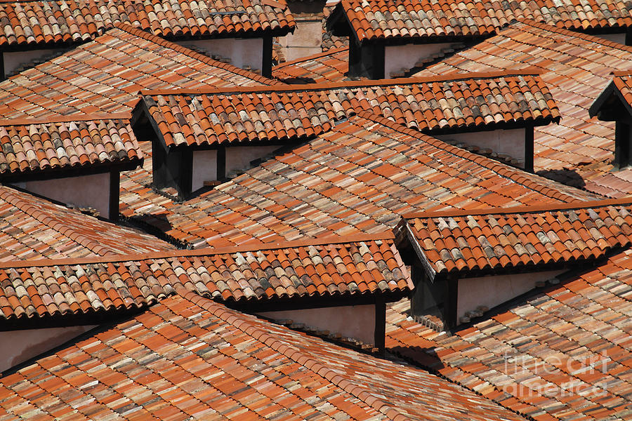 Rooftops of Venice Photograph by Dennis Hedberg
