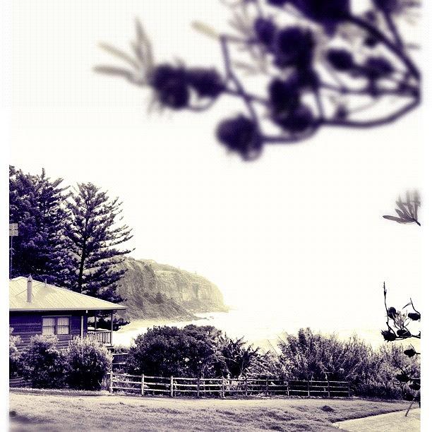 Foggy Photograph - Room With A View #iphoneography by Kendall Saint