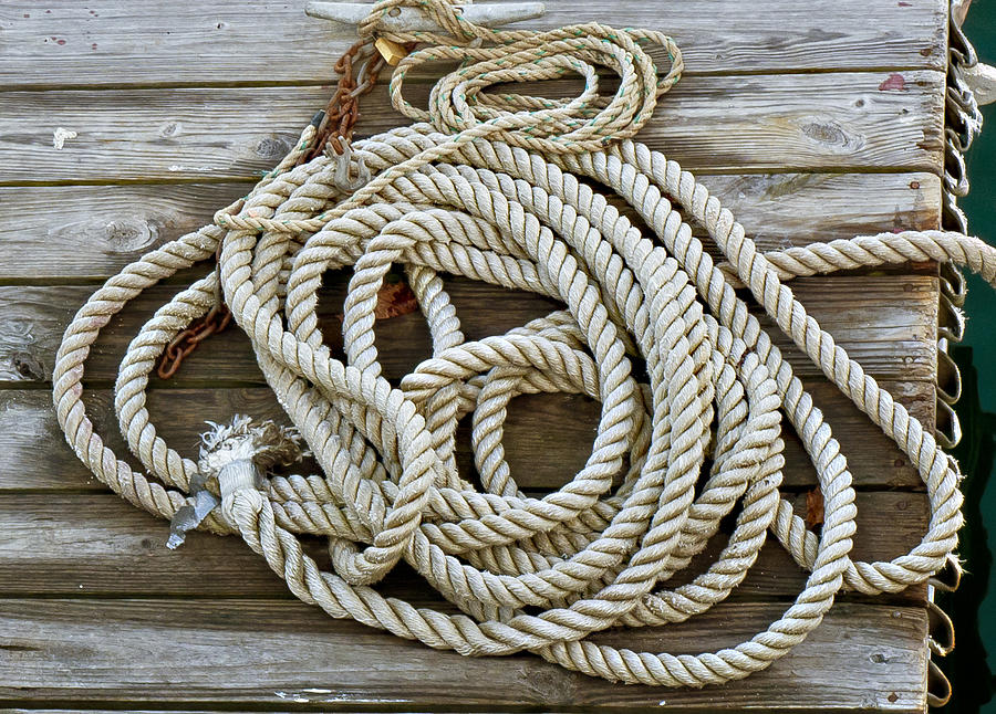 Rope Photograph by Frank Winters
