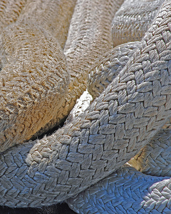 Rope Photograph - Rope by Lisa Phillips