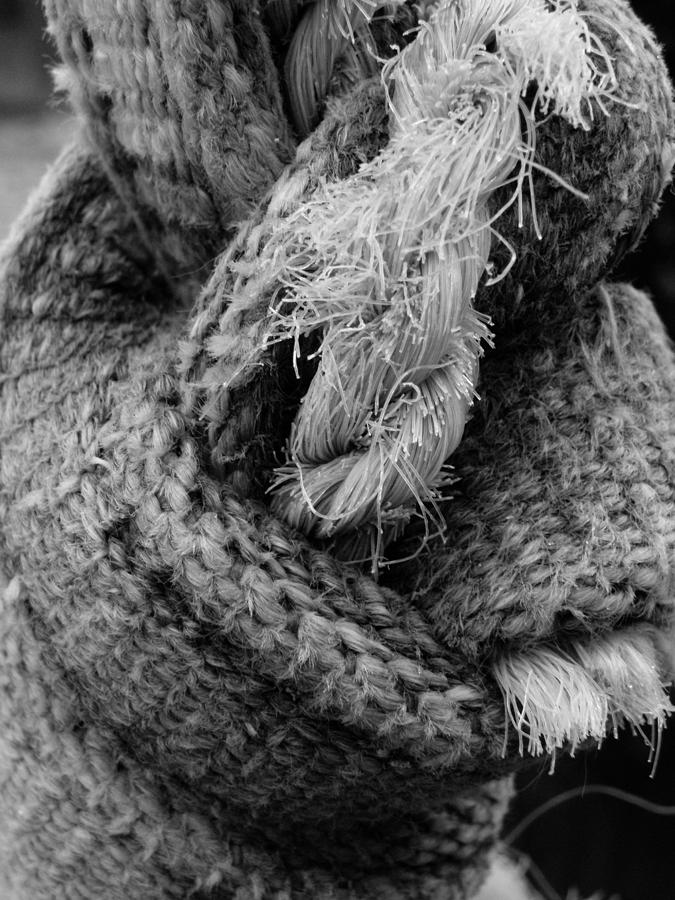 Rope Photograph by M Brandl | Fine Art America