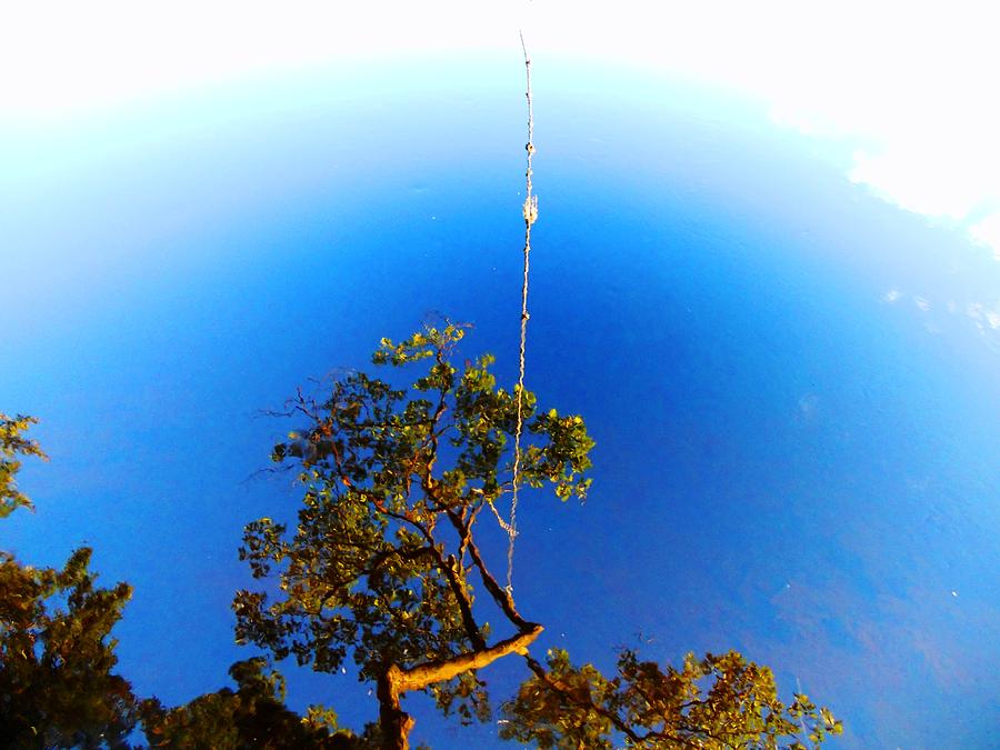Rope Swing Reflection Photograph by Kara Ray - Fine Art America
