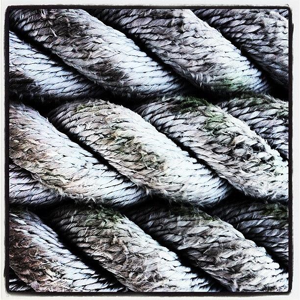 Sailing Photograph - Ropes #sailing by Leighton OConnor
