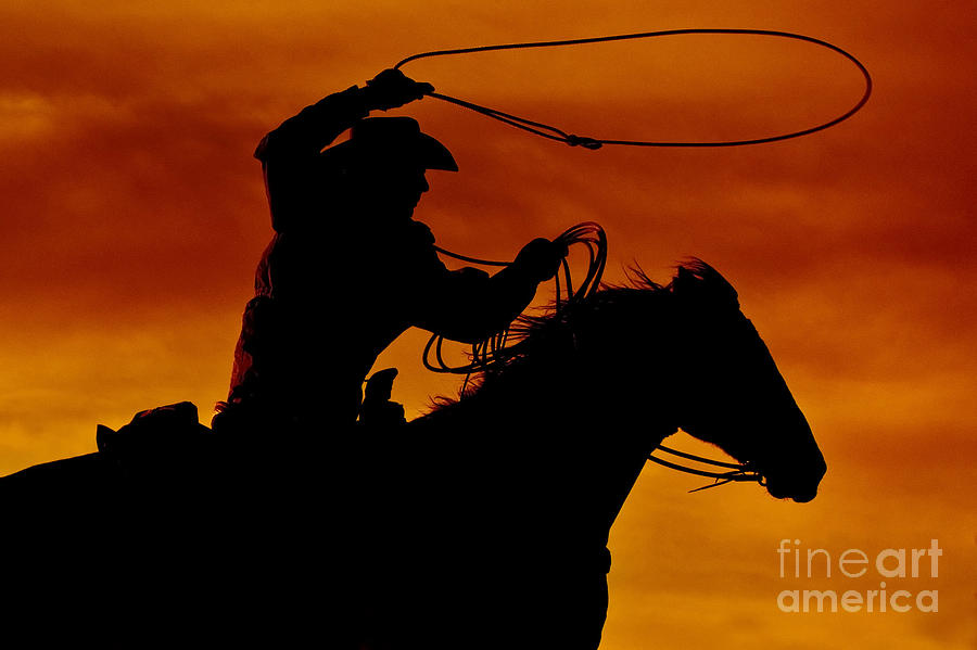 Ropin' at Sunset Photograph by Heather Swan - Fine Art America