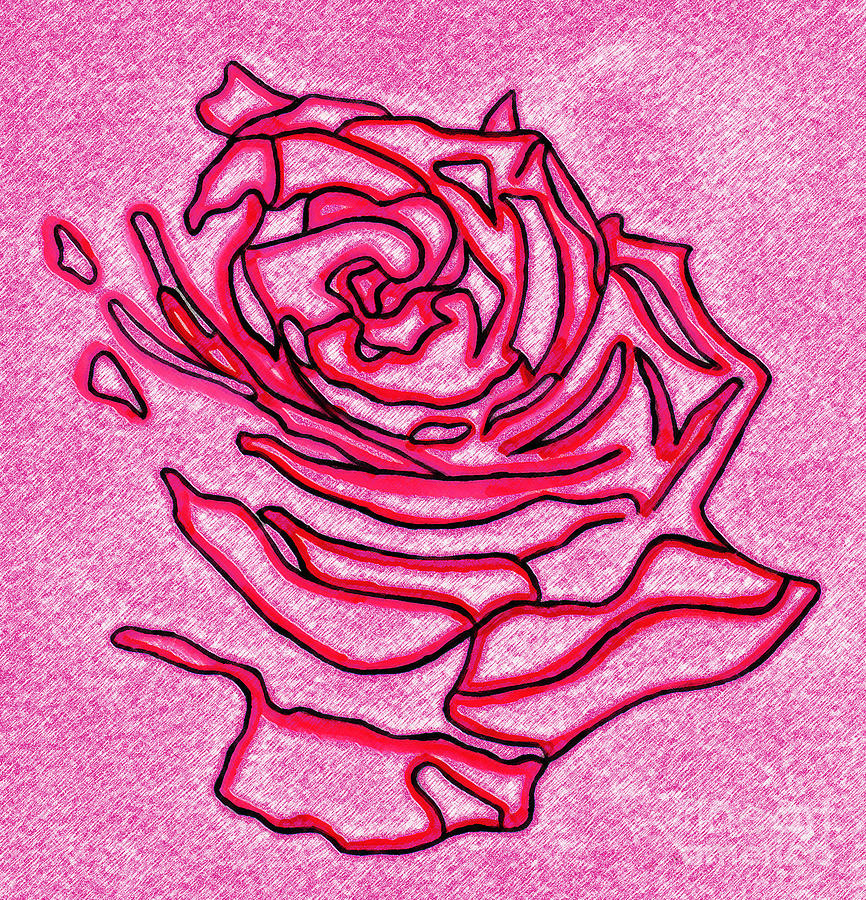 Rose 1 Drawing by Christine Perry