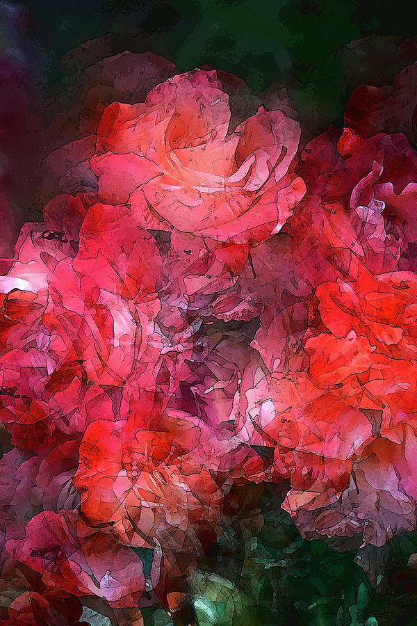Flower Photograph - Rose 148 by Pamela Cooper