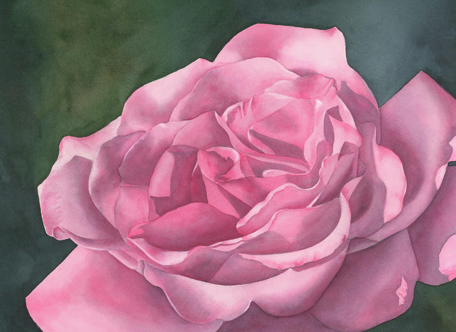 Rose Painting - Rose Blush by Leona Jones