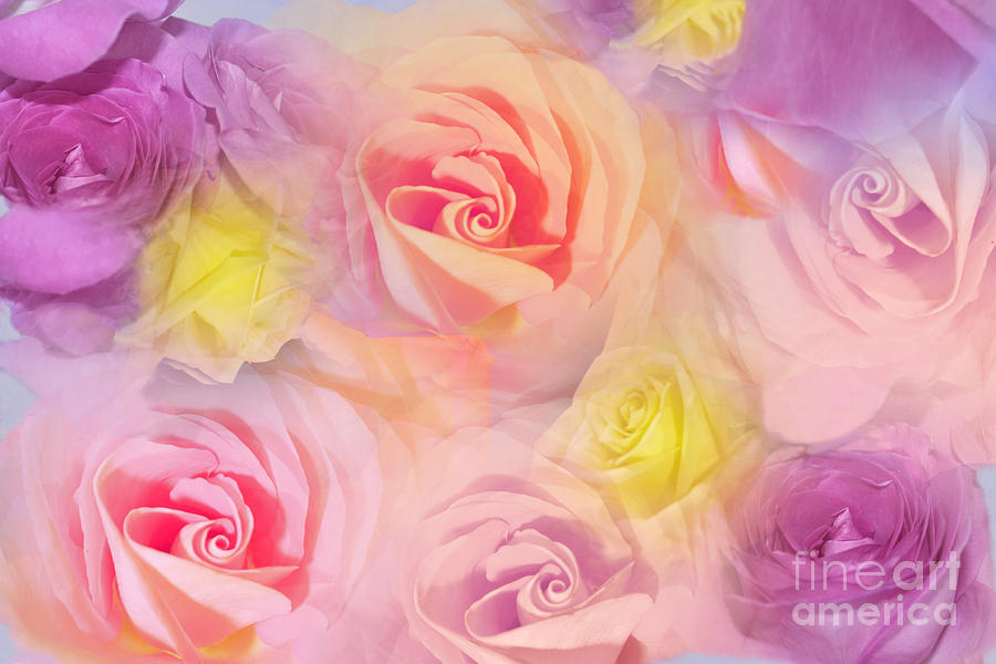 Flower Photograph - Rose Bouquet by Cindy Lee Longhini