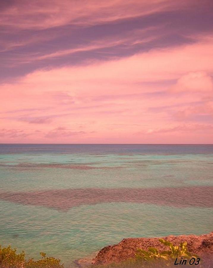 Rose Colored Bermuda Photograph by Lin Grosvenor