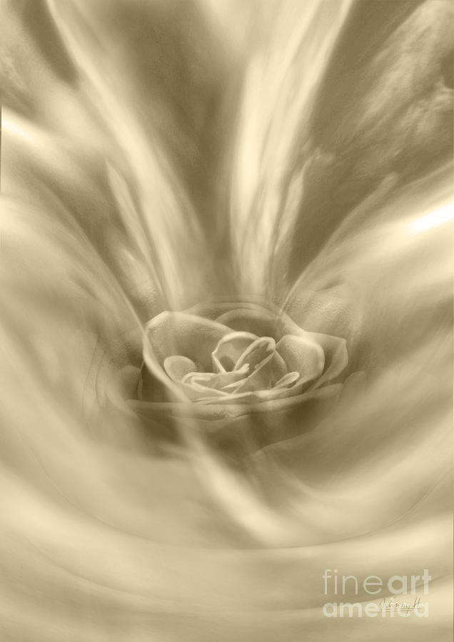 Rose from a dream Digital Art by Johnny Hildingsson