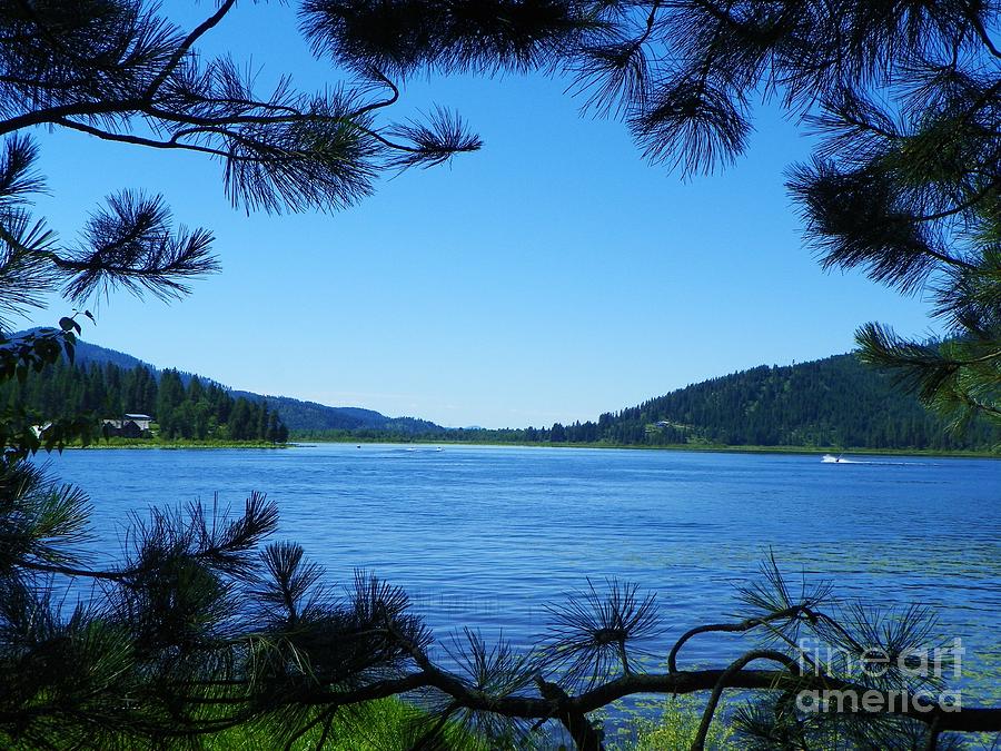 Rose Lake - Scenic Northern Idaho Photograph