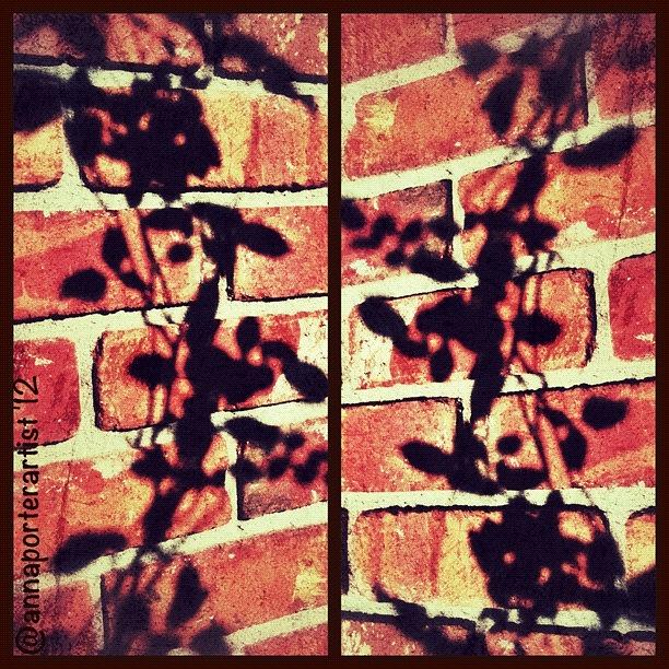 Architecture Photograph - Rose Leaves - Shadow on Brick by Anna Porter