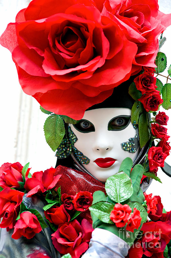 Rose Mask Photograph by Luciano Mortula