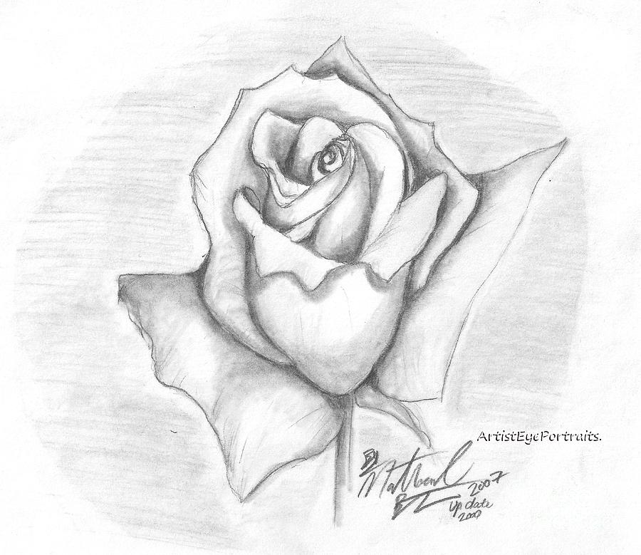 Rose Drawing by Nathaniel Bostrom