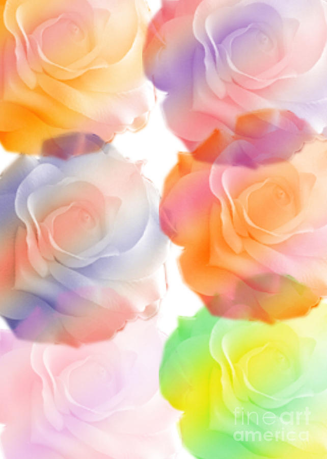 Rose Of A Different Color Digital Art by Susan Stevenson