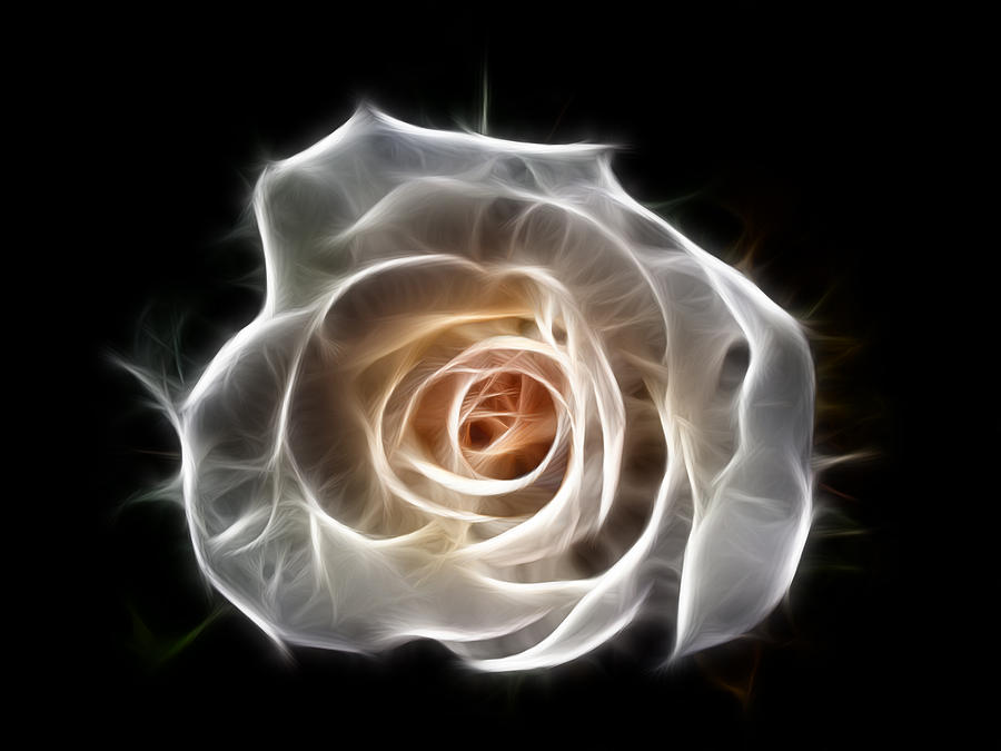 Rose of Light Digital Art by Bel Menpes