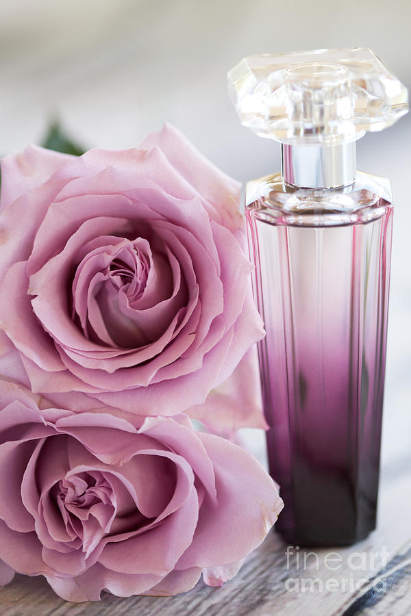 Rose Photograph - Rose Perfume by Kim Fearheiley