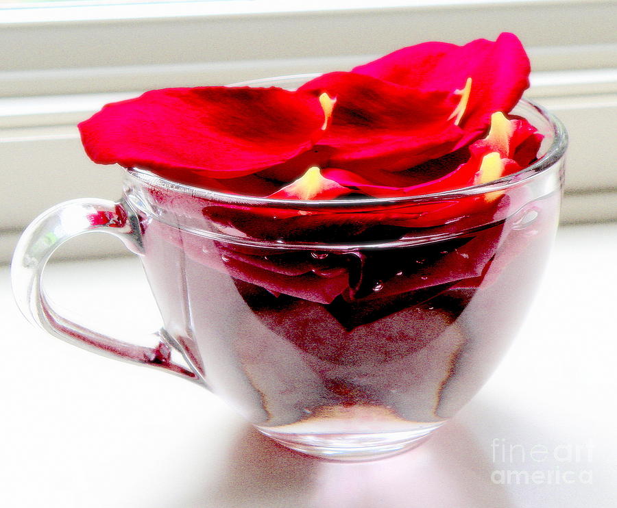 Rose Petals in a Glass Cup Photograph by Tatyana Searcy