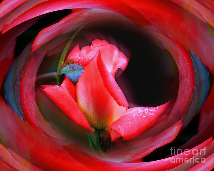 Rosebud Energies Digital Art by Smilin Eyes Treasures