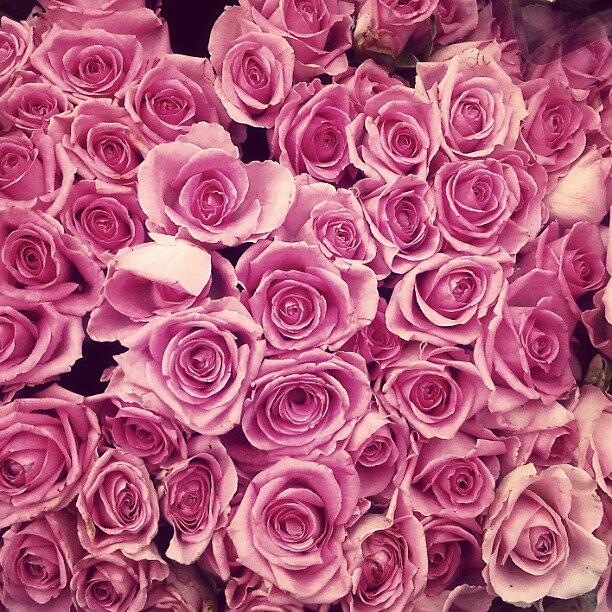 Rose Photograph - #roses ... Passing A #florist by Linandara Linandara