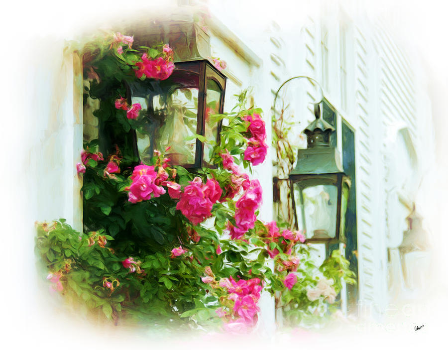 Rose Photograph - Roses and Lanterns by Alana Ranney