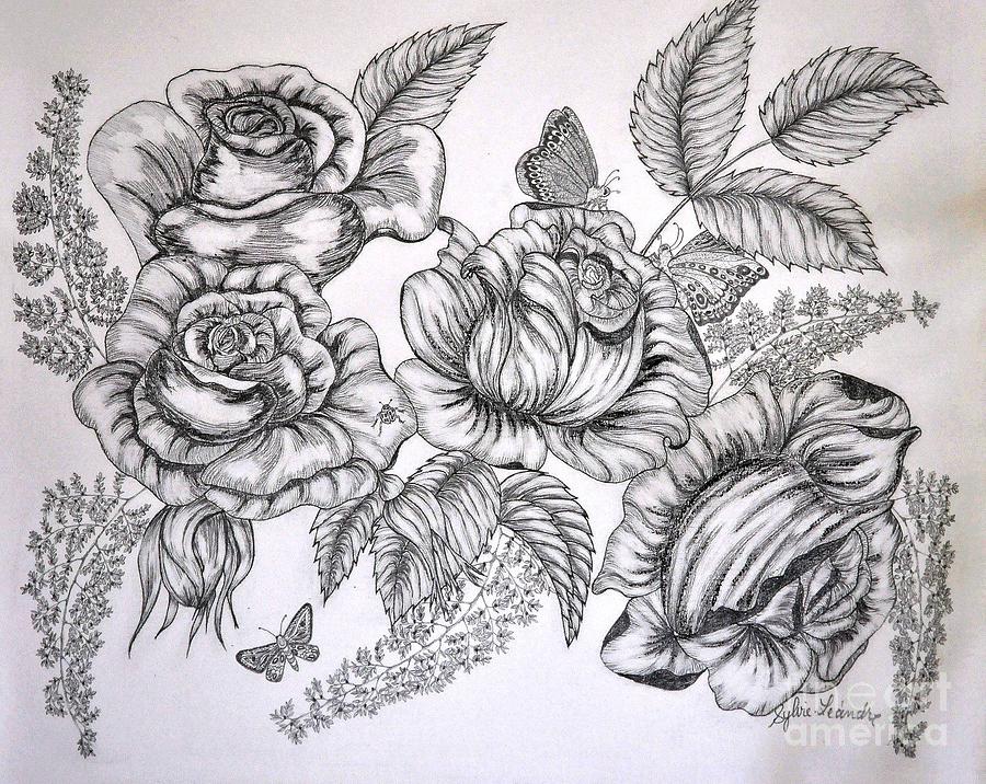 Roses Drawing by Sylvie Leandre