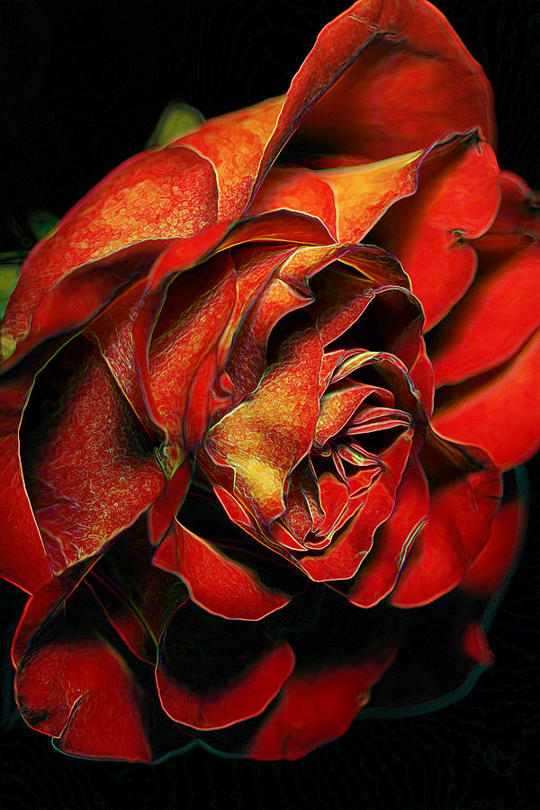 Rosey Hues Photograph by Bill and Linda Tiepelman