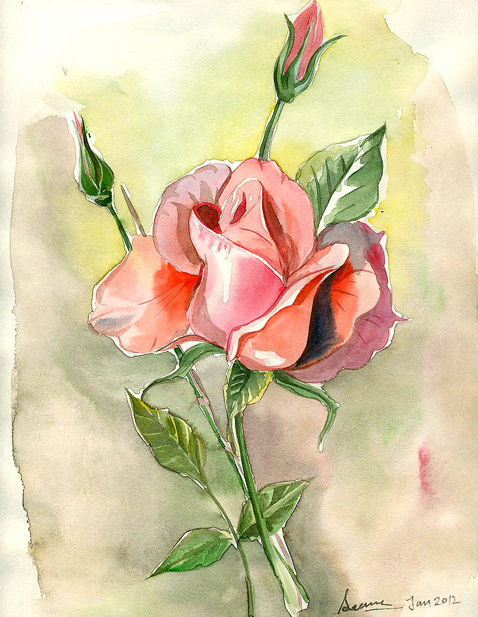 Rossy Rose Painting by Seema Sinha Fine Art America