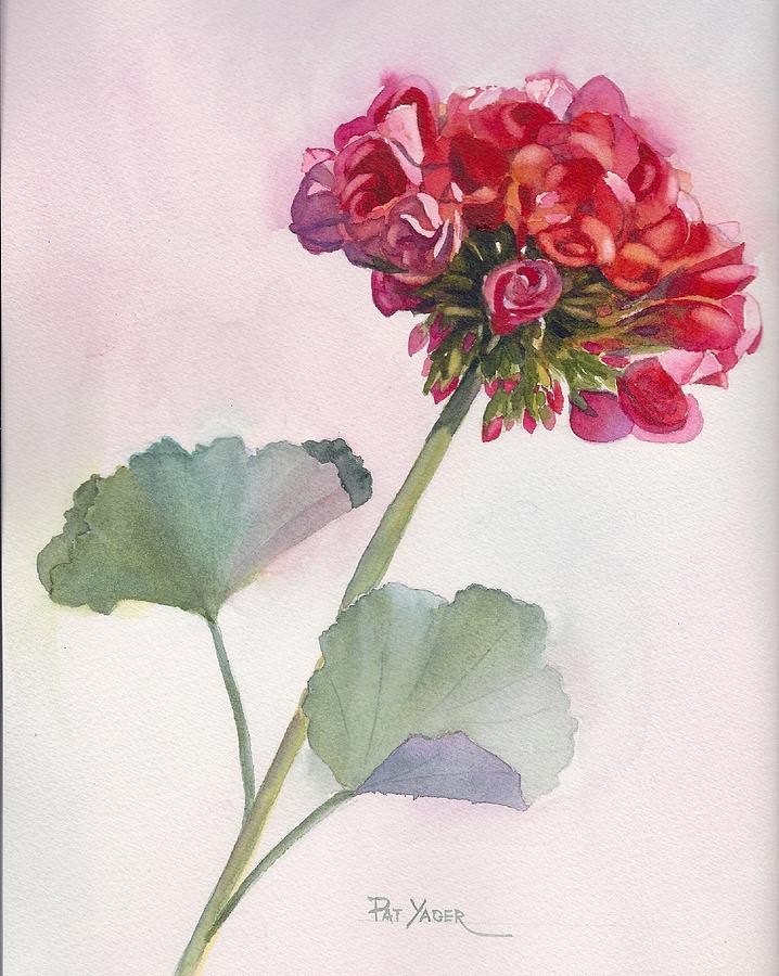 Rosy Red Geranium Painting by Pat Yager - Fine Art America