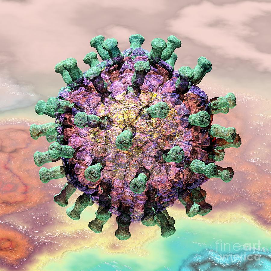 Rotavirus 2 Digital Art by Russell Kightley
