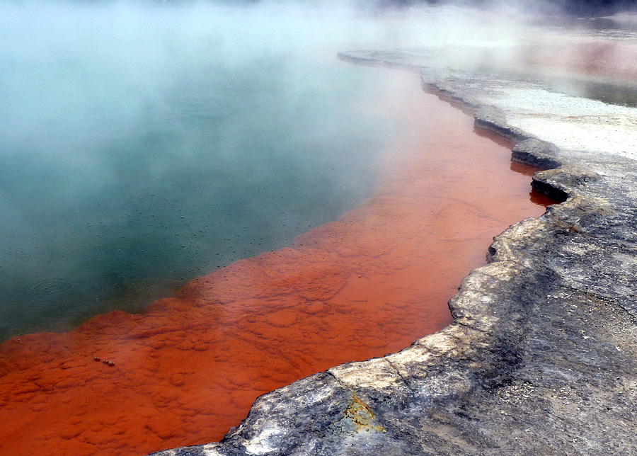 Rotorua Steaming Mineral Pool Photograph by Carla Parris