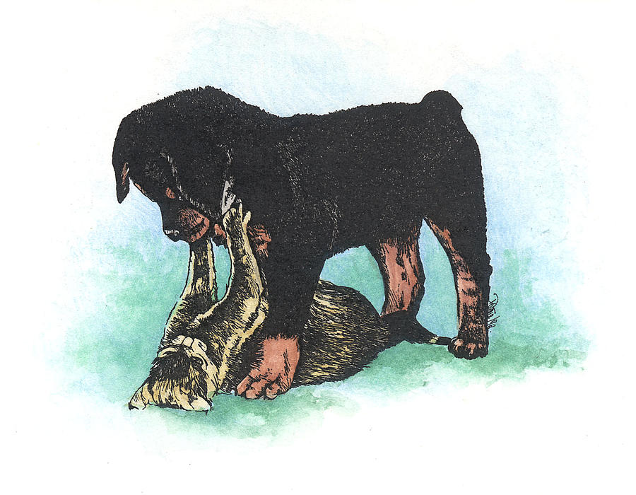 Rottie Pup and Kitten playing Painting by Patrice Clarkson