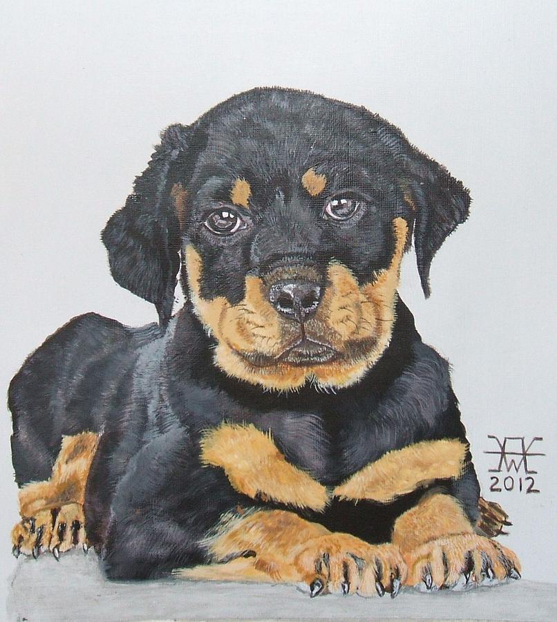 Rottweiler Puppy Painting by Alan Wilkinson - Pixels