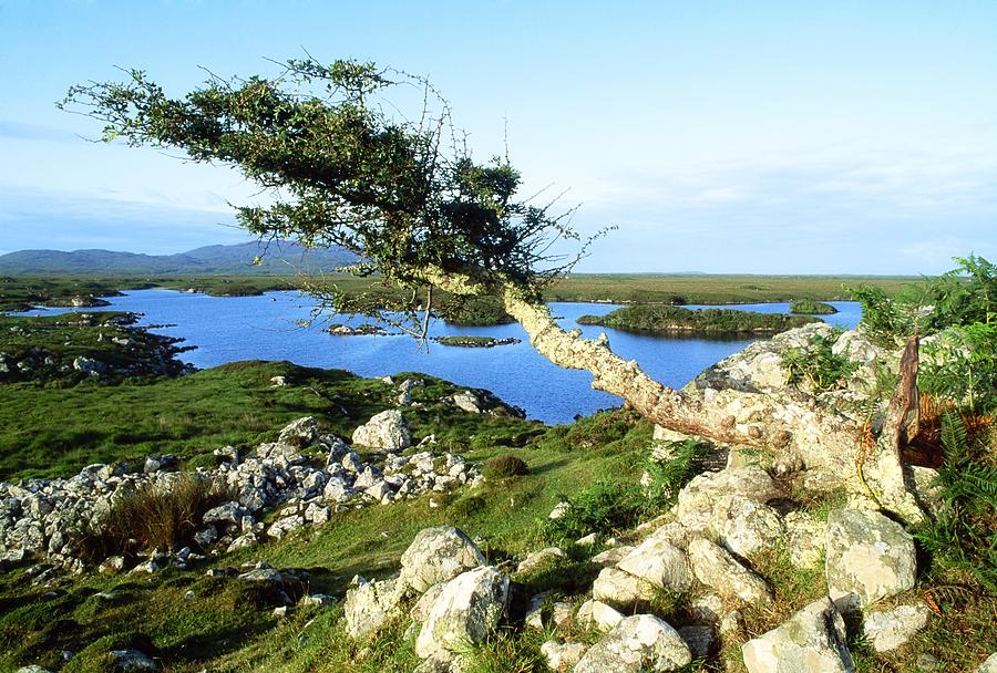 Roundstone, Connemara, County Galway Photograph by The Irish Image ...