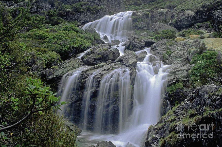 Routeburn Falls - New Zealand Photograph by Craig Lovell