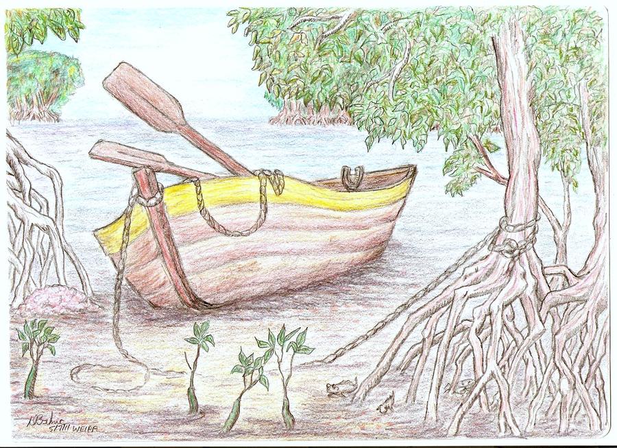 Row Boat In The Mangroves Drawing by Desley Brkic