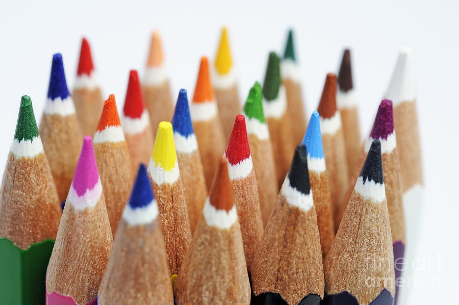 Crayon Photograph - Row of colorful crayons by Sami Sarkis