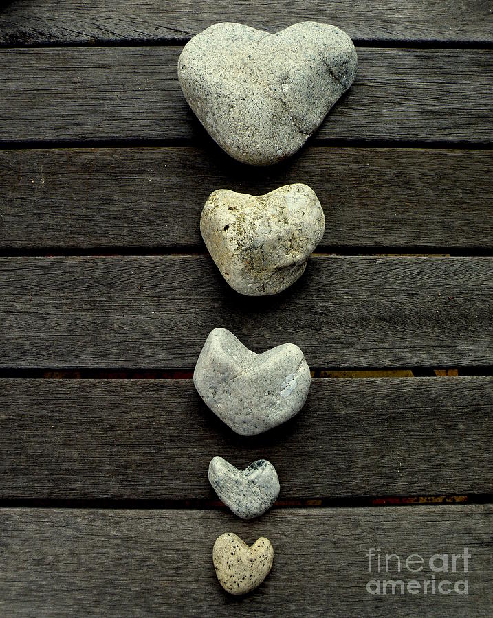 Row of Hearts Photograph by Lainie Wrightson