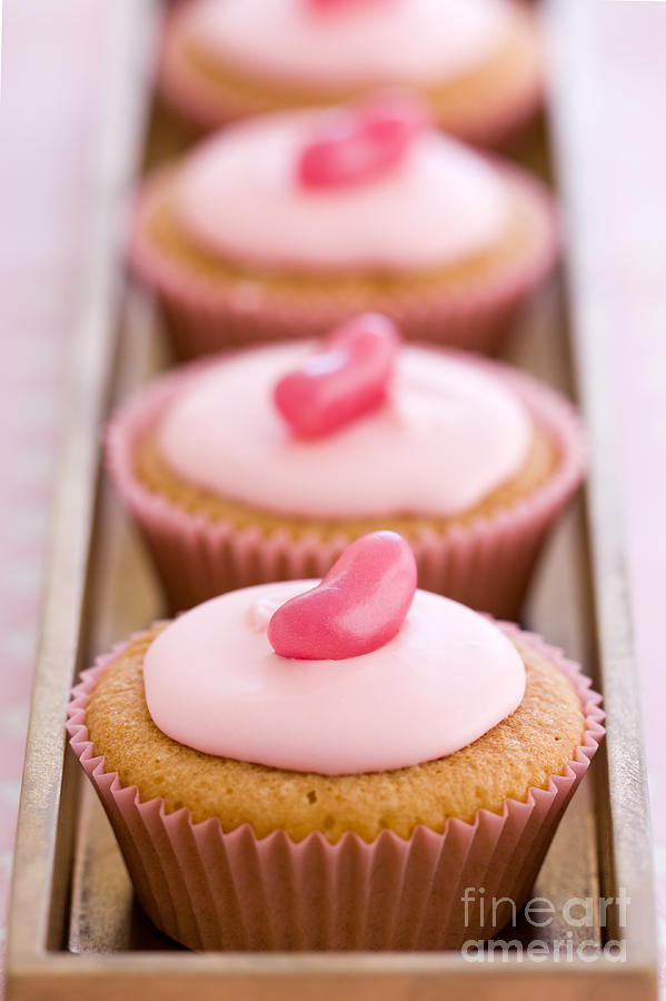 Cake Photograph - Row of pink cupcakes by Ruth Black