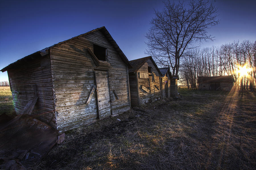 Row Of Sheds At Sunset, Fort Photograph by Dan Jurak