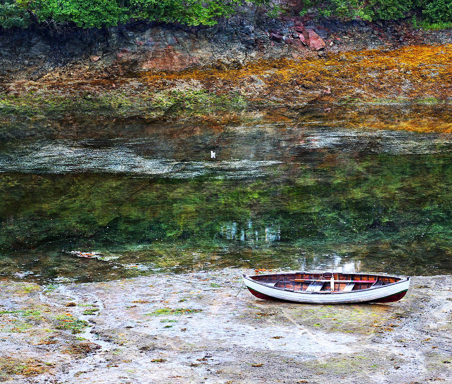 Rowboat In The Slough Photograph