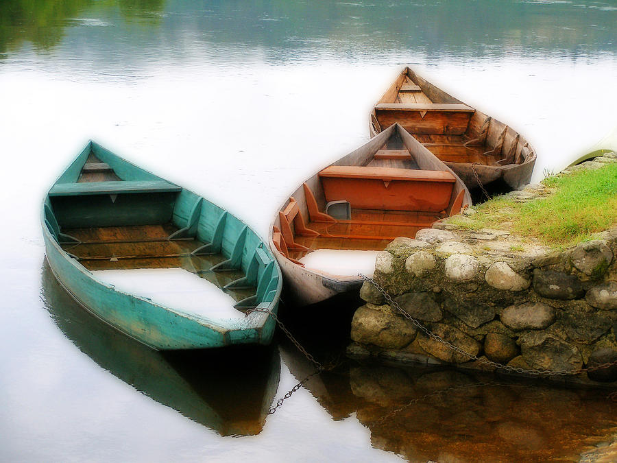 Rowing boats out of season Photograph by Rod Jones