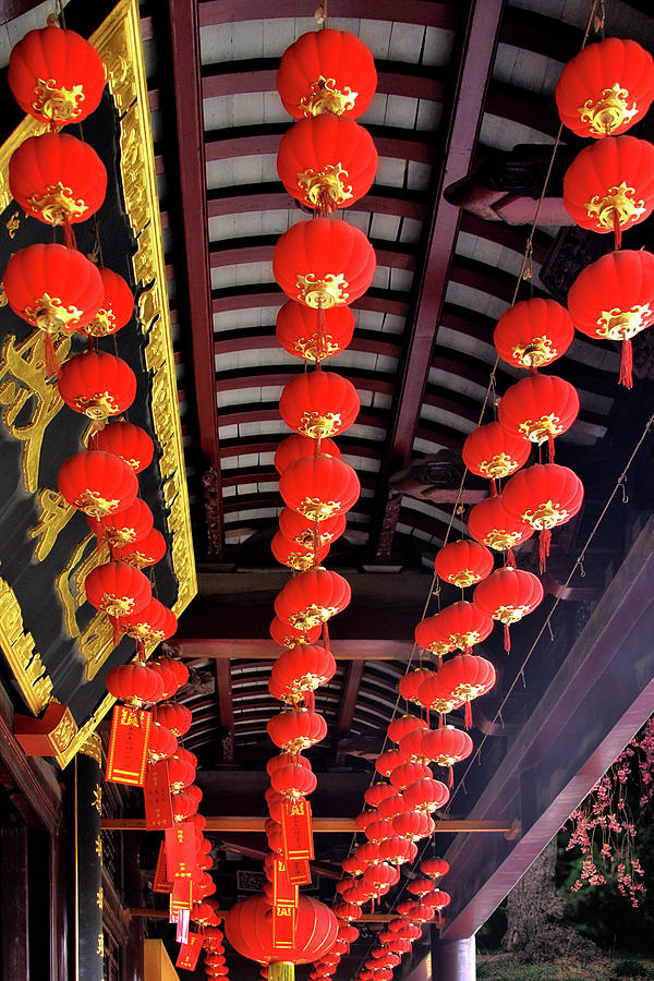 Lamp Photograph - Rows of red Chinese paper lanterns - Shanghai China by Alexandra Till