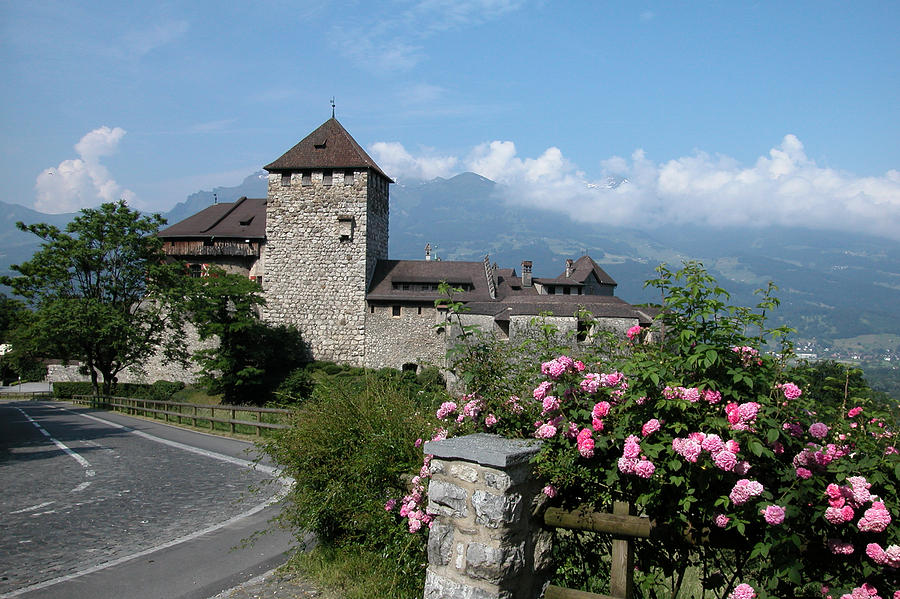 Royal Castle In Liechtenstein Photograph by Carl Purcell