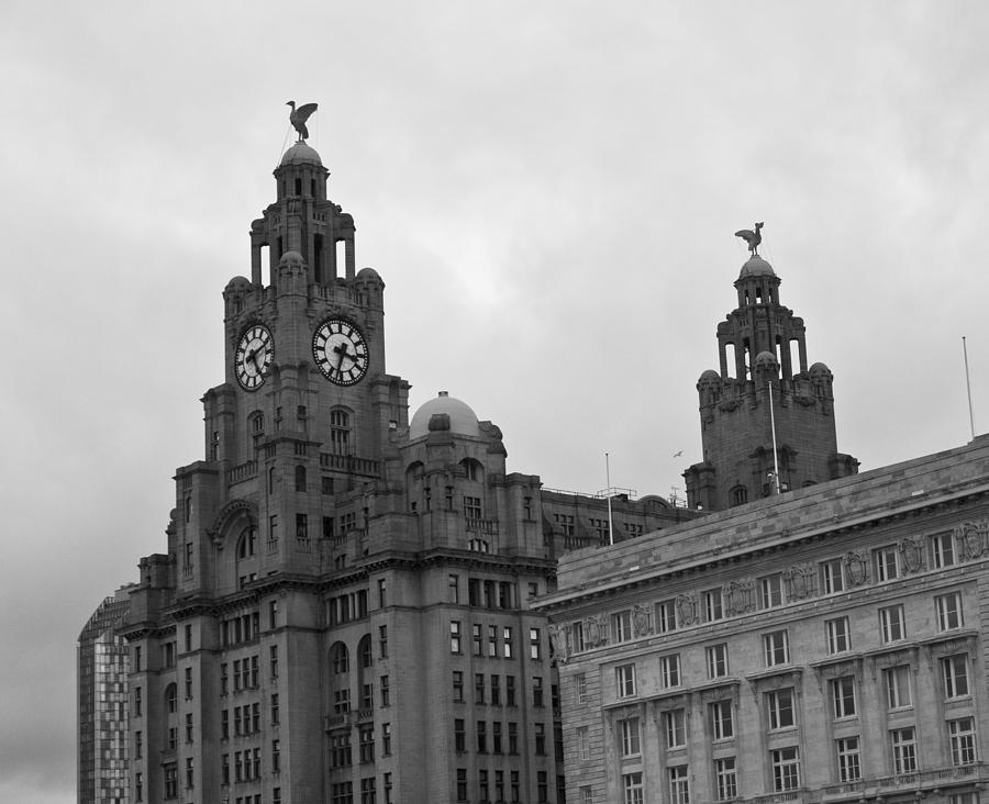 Royal Liver Building Photograph by Georgia Clare