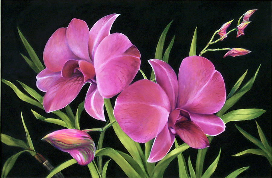 Royal Pink Orchids Painting by Nancy Tilles