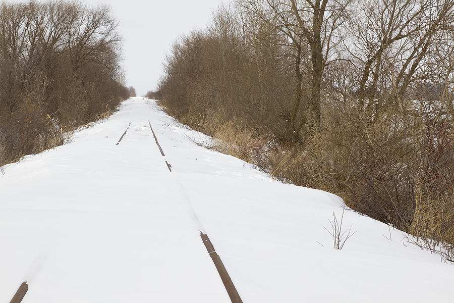 Rr Track Winter Abandoned 1d Photograph
