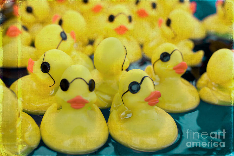 Rubber Duck Photograph - Rubber Ducks by Kim Fearheiley