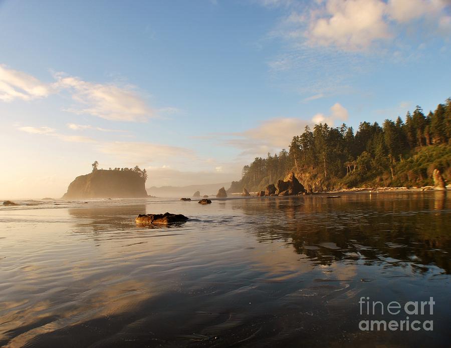 Ruby Beach at low tide Photograph by Frank Larkin